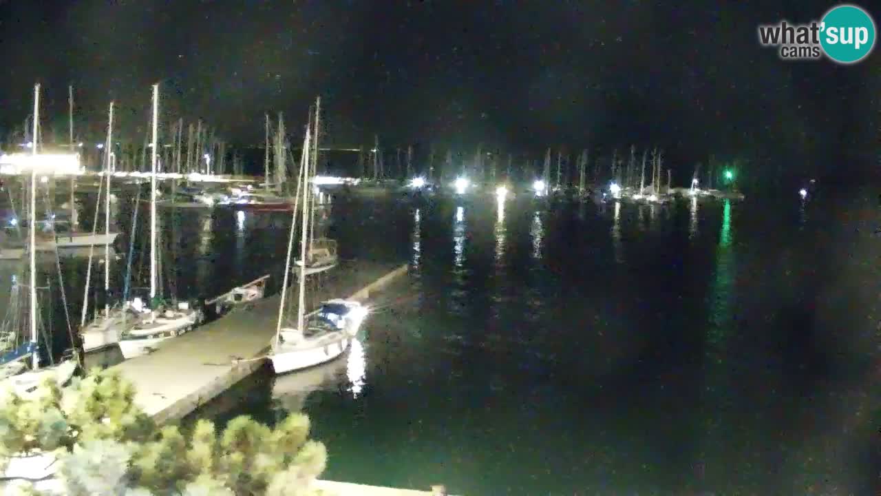 Webcam Bahía de Sistiana – Vista en directo del puerto deportivo y la costa