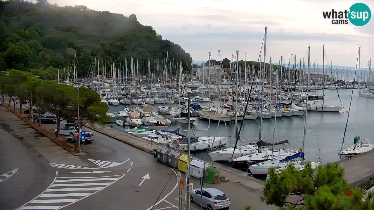 Webcam Sistiana Baia – Live View of the Marina and Gulf