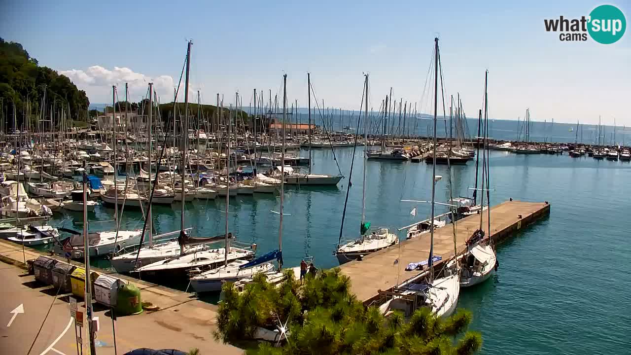 Webcam Baie de Sistiana – Vue en direct de la marina et de la baie
