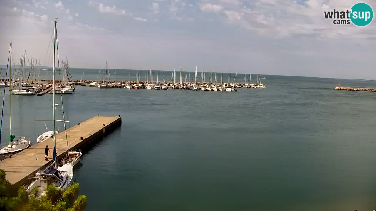 Webcam Bahía de Sistiana – Vista en directo del puerto deportivo y la costa