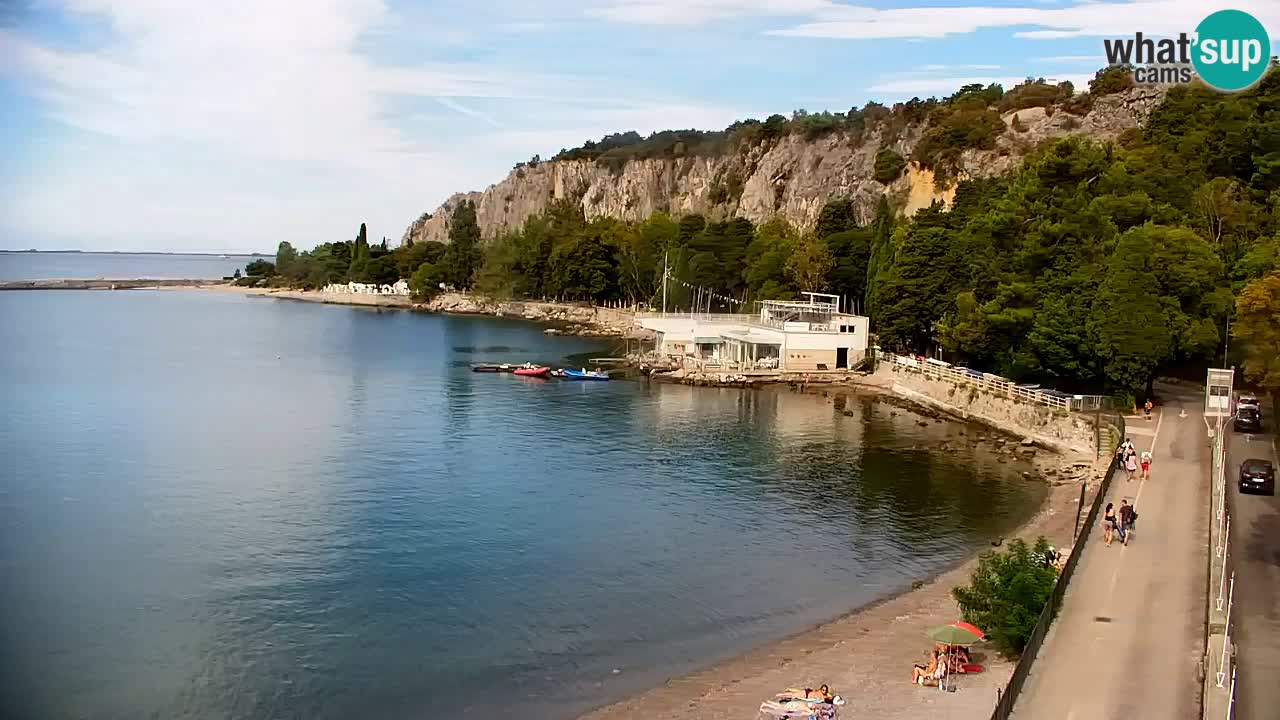 Spletna kamera Sesljanski zaliv – Pogled v živo na marino in zaliv