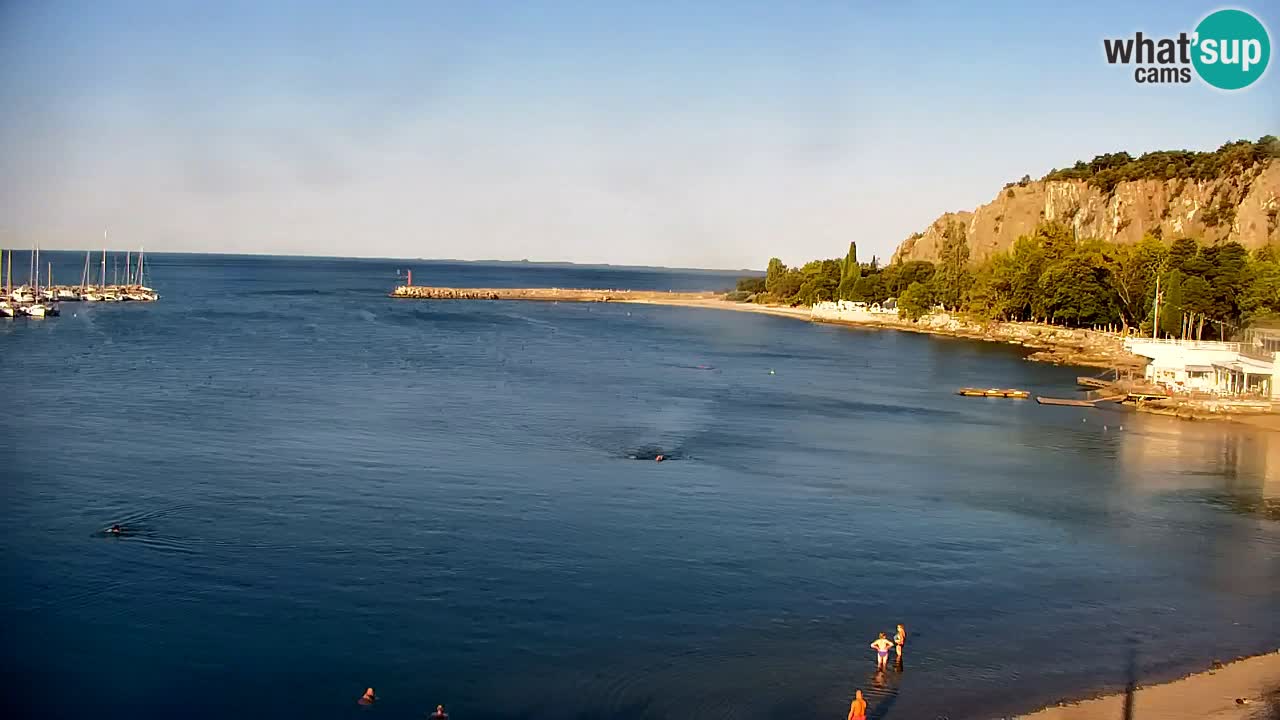 Webcam Bahía de Sistiana – Vista en directo del puerto deportivo y la costa