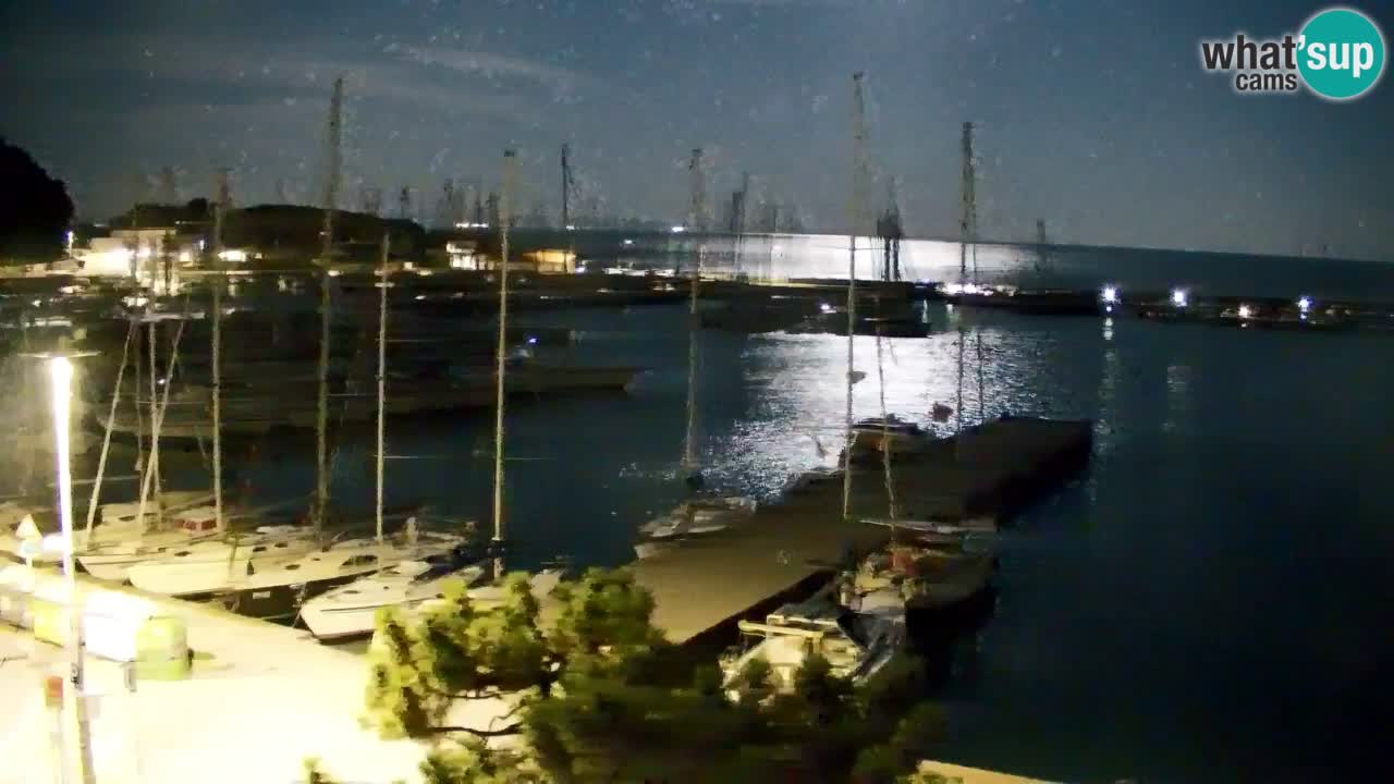 Webcam Bahía de Sistiana – Vista en directo del puerto deportivo y la costa