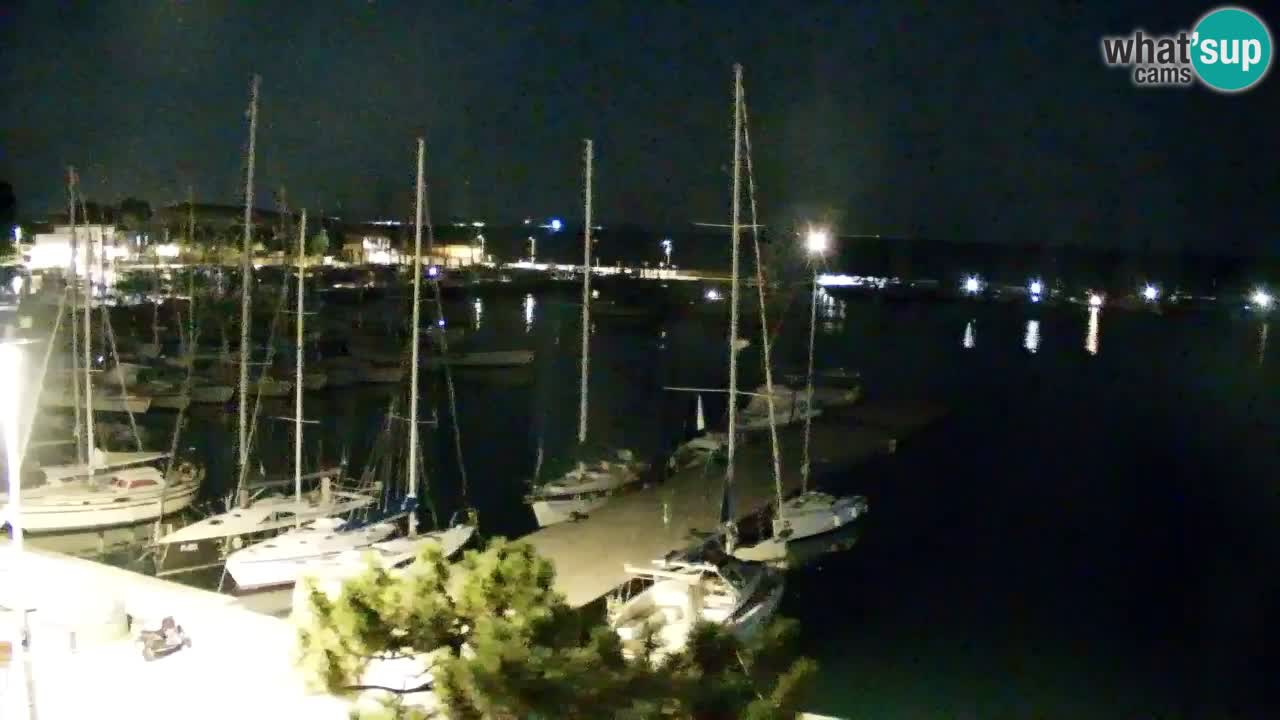 Webcam Sistiana Baia – Live View of the Marina and Gulf