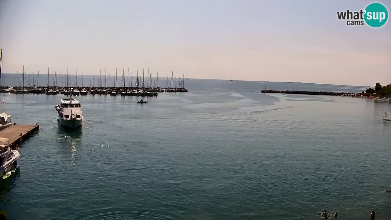 Webcam Sistiana Bucht – Liveblick auf Marina und Bucht