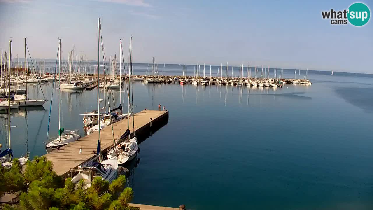 Webcam Baie de Sistiana – Vue en direct de la marina et de la baie