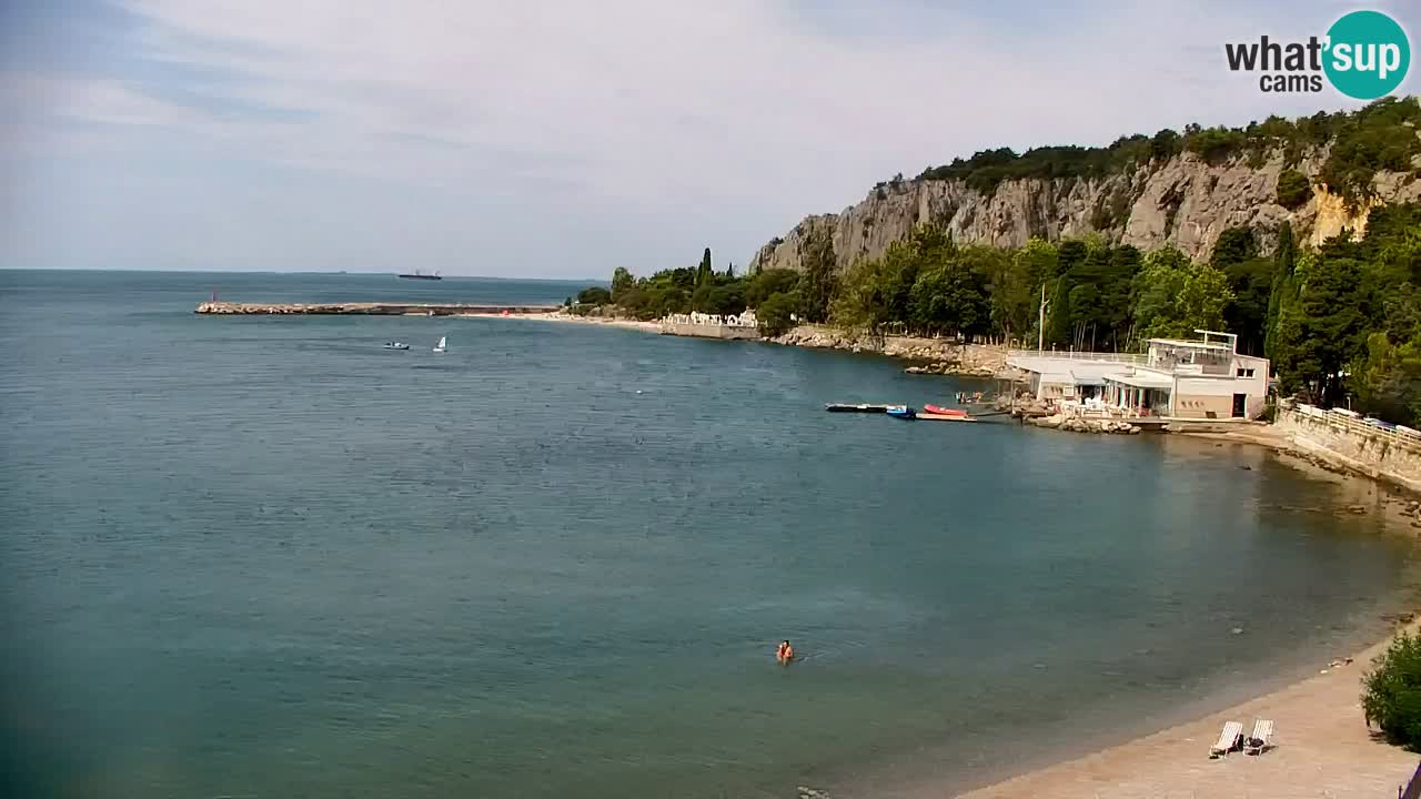 Webcam Bahía de Sistiana – Vista en directo del puerto deportivo y la costa