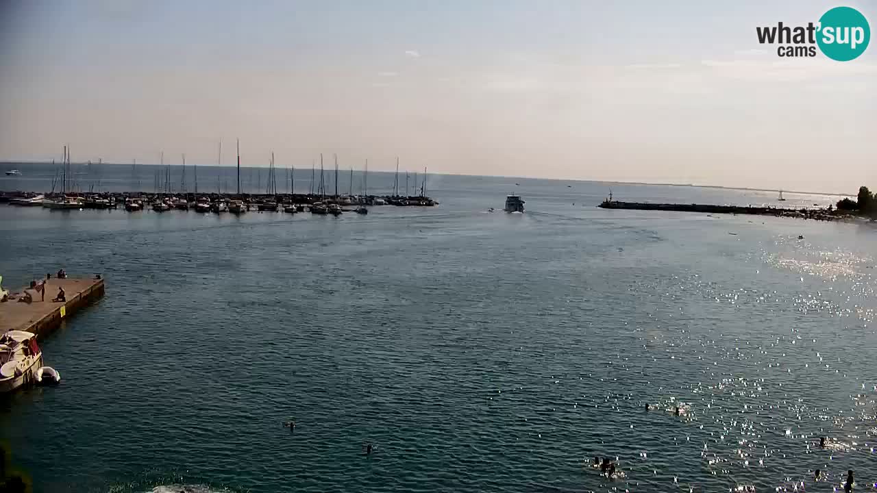Web kamera Sistiana Uvala – Pogled uživo na marinu i zaljev