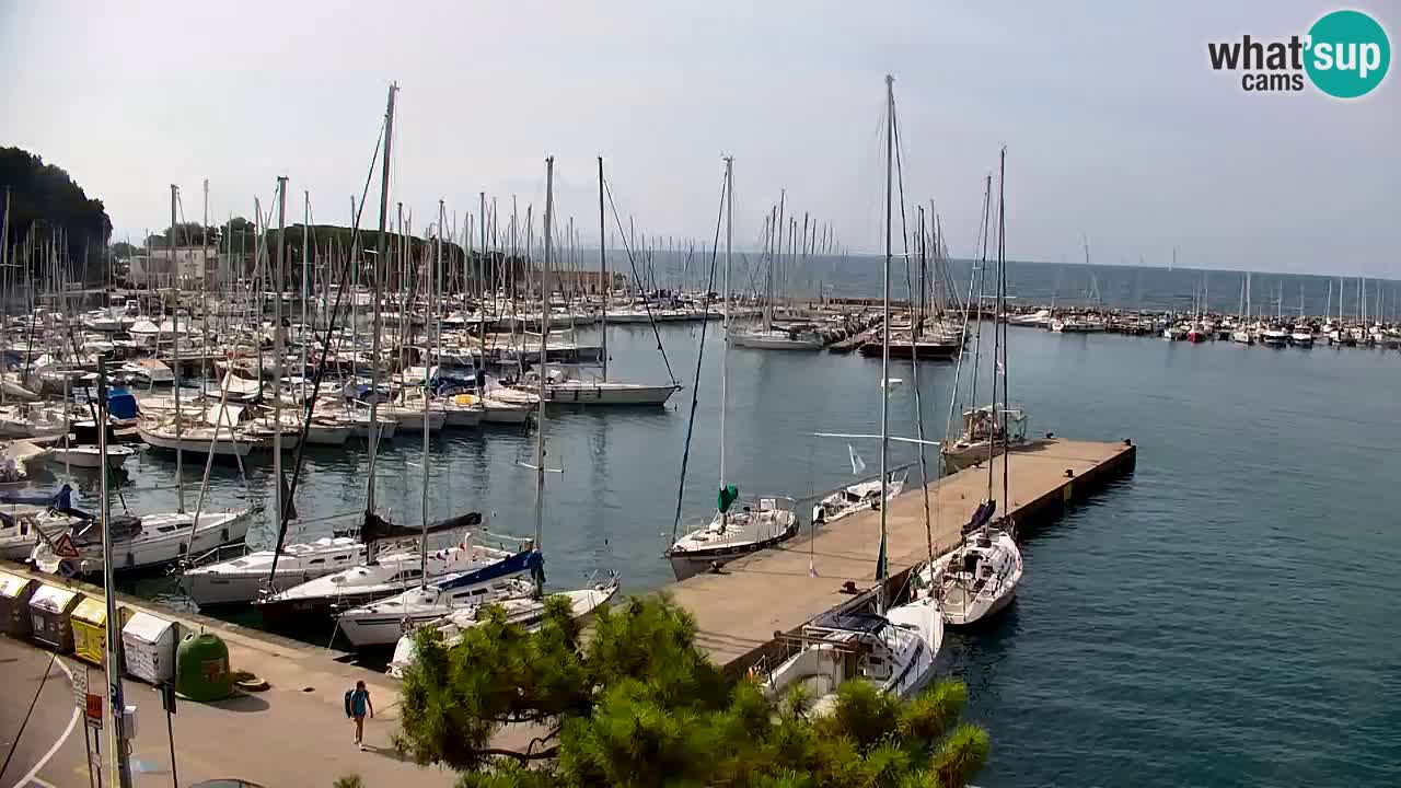 Web kamera Sistiana Uvala – Pogled uživo na marinu i zaljev