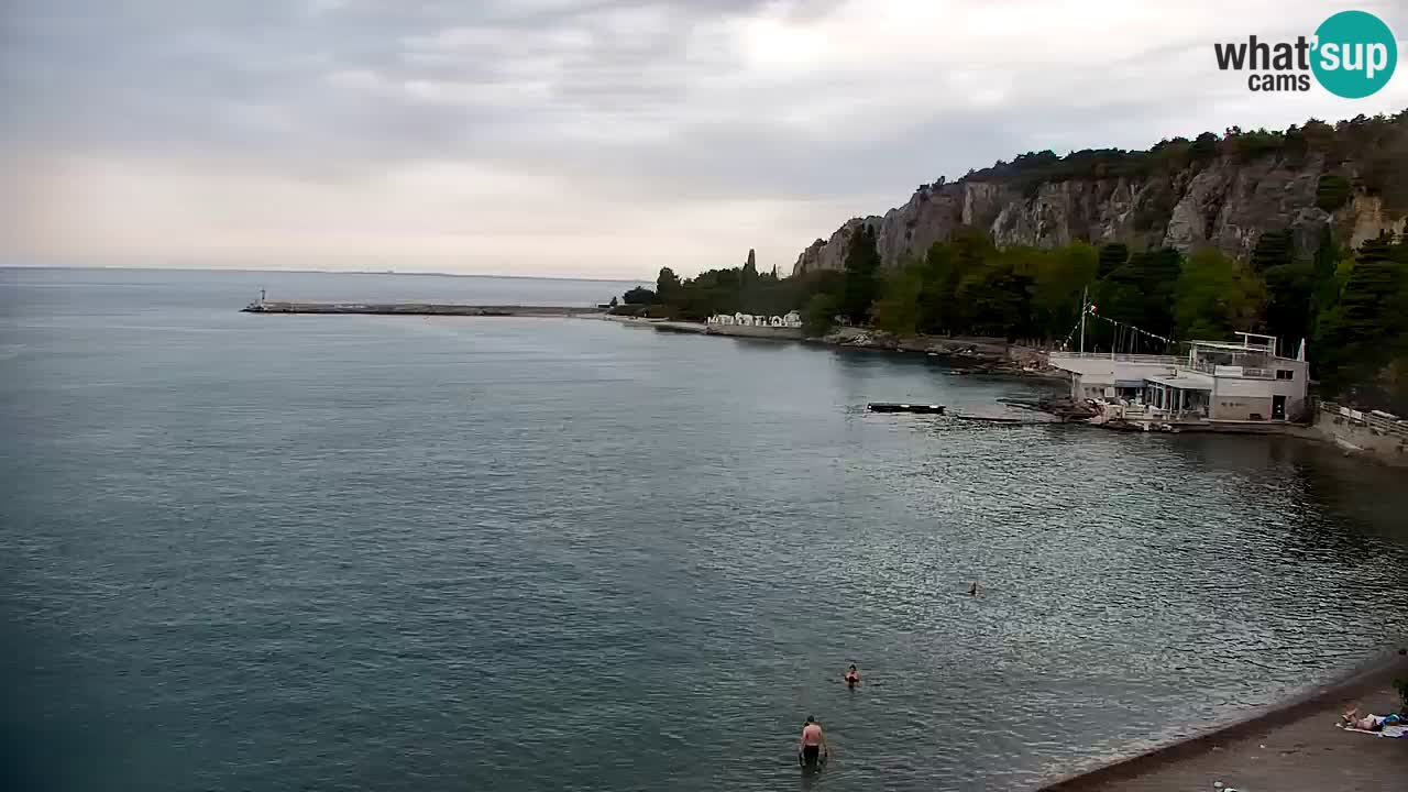 Webcam Sistiana Baia – Live View of the Marina and Gulf