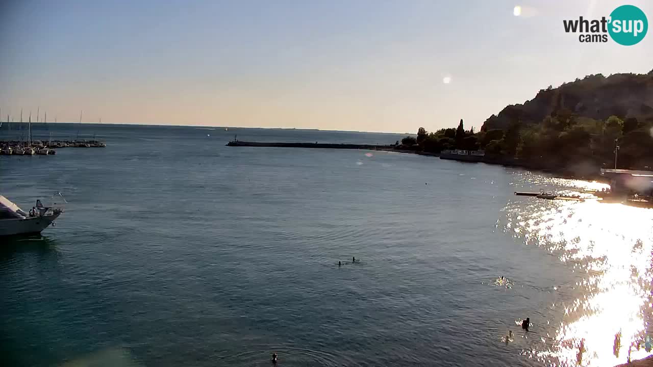 Webcam Sistiana Baia – Live View of the Marina and Gulf