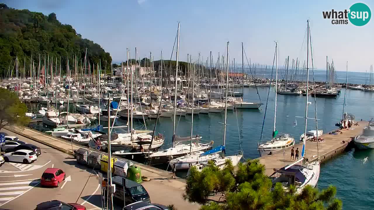 Webcam Bahía de Sistiana – Vista en directo del puerto deportivo y la costa