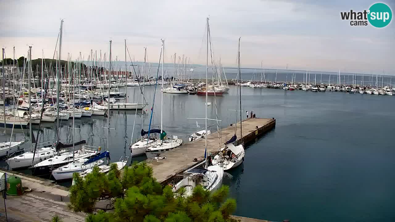 Webcam Baie de Sistiana – Vue en direct de la marina et de la baie