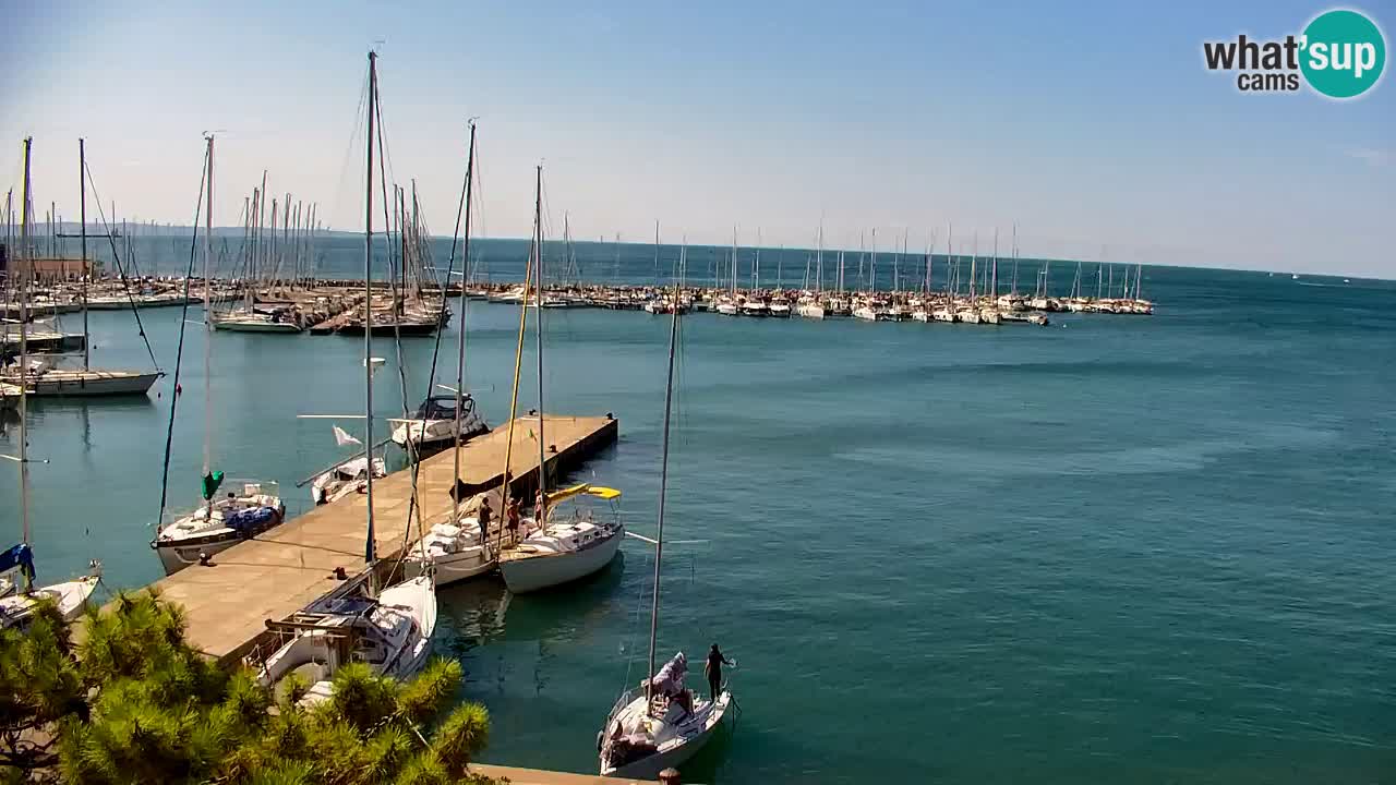 Webcam Sistiana Baia – Live View of the Marina and Gulf