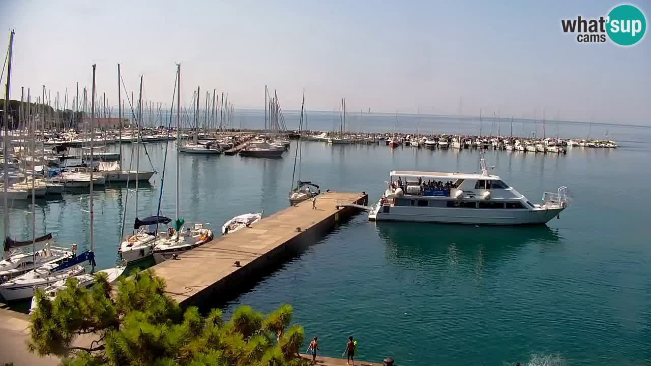 Webcam Sistiana Baia – Live View of the Marina and Gulf
