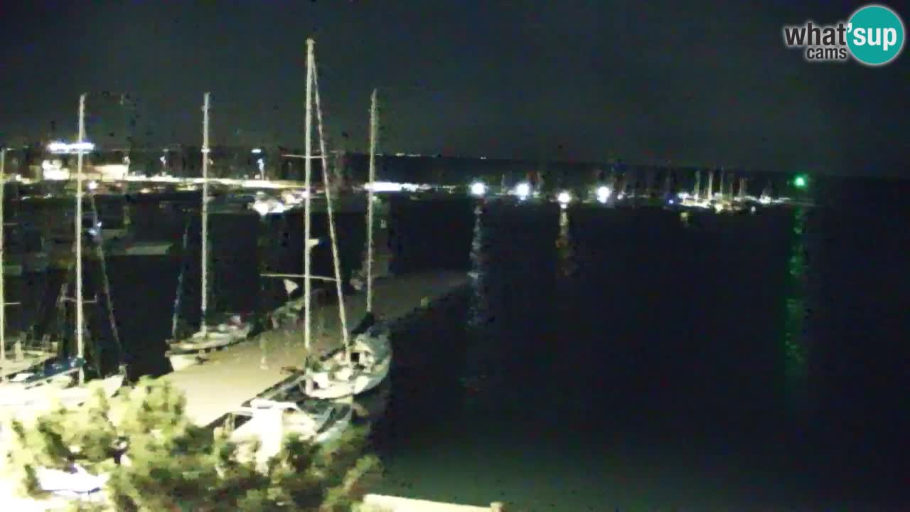 Webcam Sistiana Baia – Live View of the Marina and Gulf