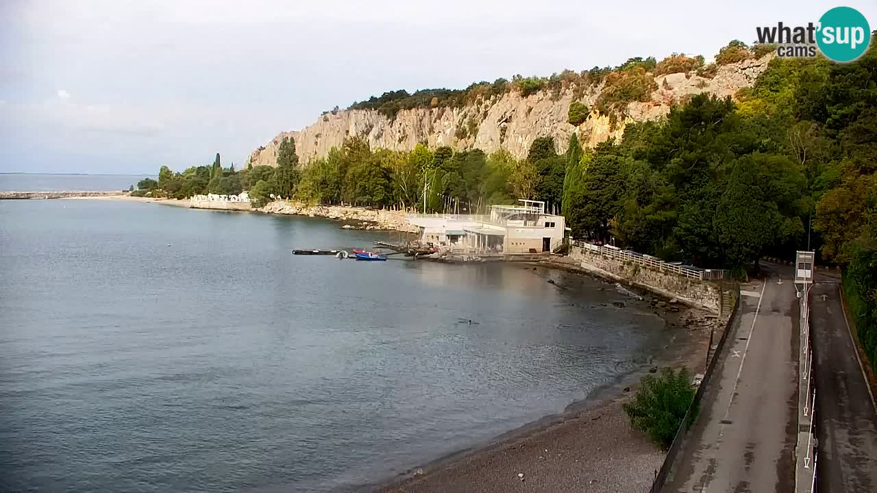 Webcam Sistiana Baia – Live View of the Marina and Gulf