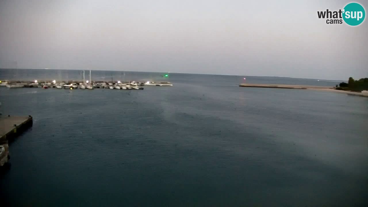 Webcam Bahía de Sistiana – Vista en directo del puerto deportivo y la costa