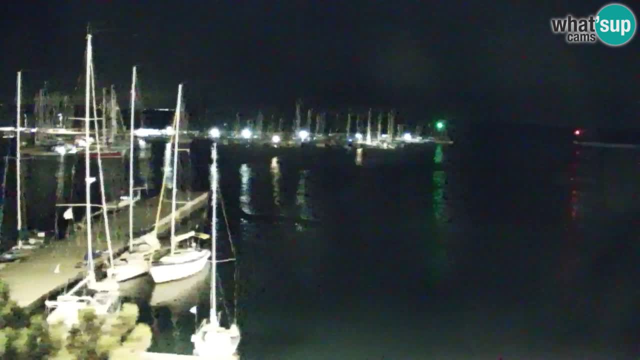 Webcam Bahía de Sistiana – Vista en directo del puerto deportivo y la costa
