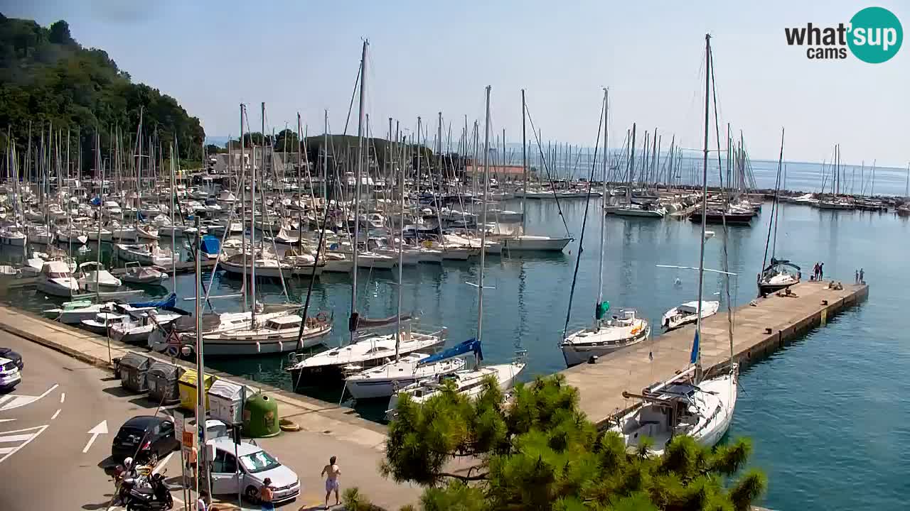Webcam Sistiana Bucht – Liveblick auf Marina und Bucht