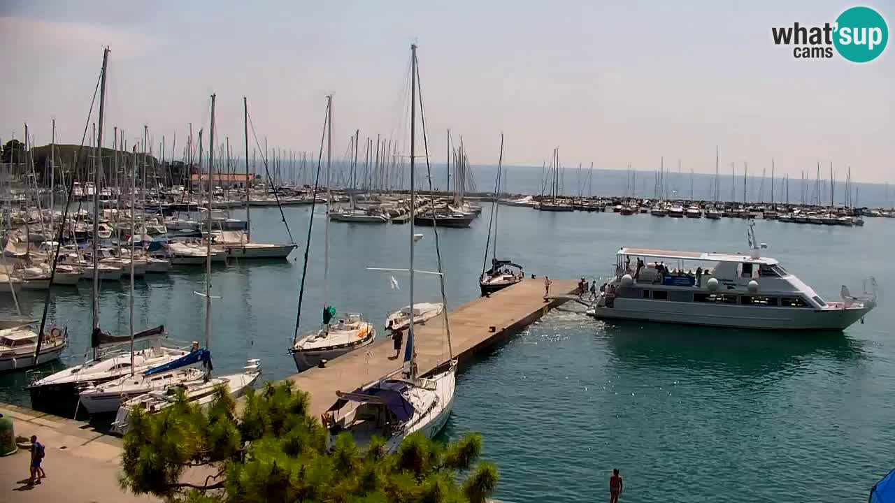 Webcam Baia di Sistiana – Marina e Golfo in diretta