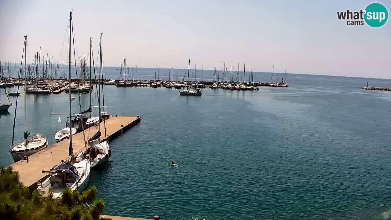 Webcam Bahía de Sistiana – Vista en directo del puerto deportivo y la costa