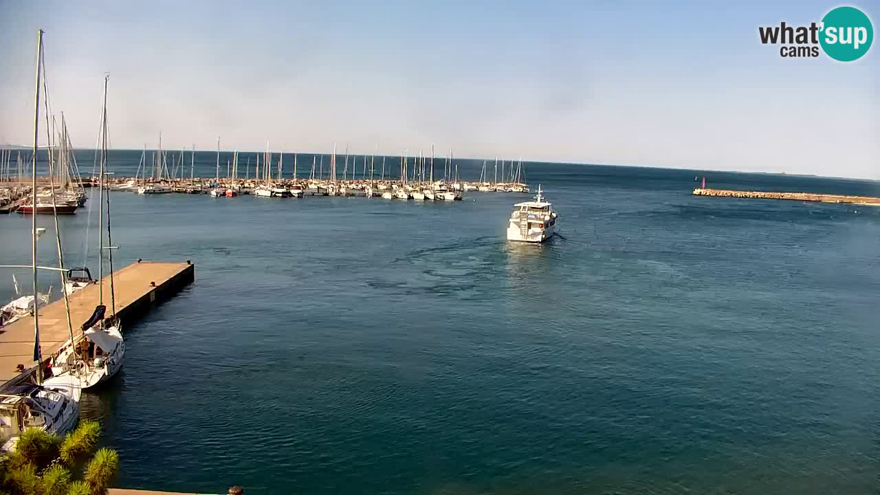 Webcam Sistiana Baia – Live View of the Marina and Gulf