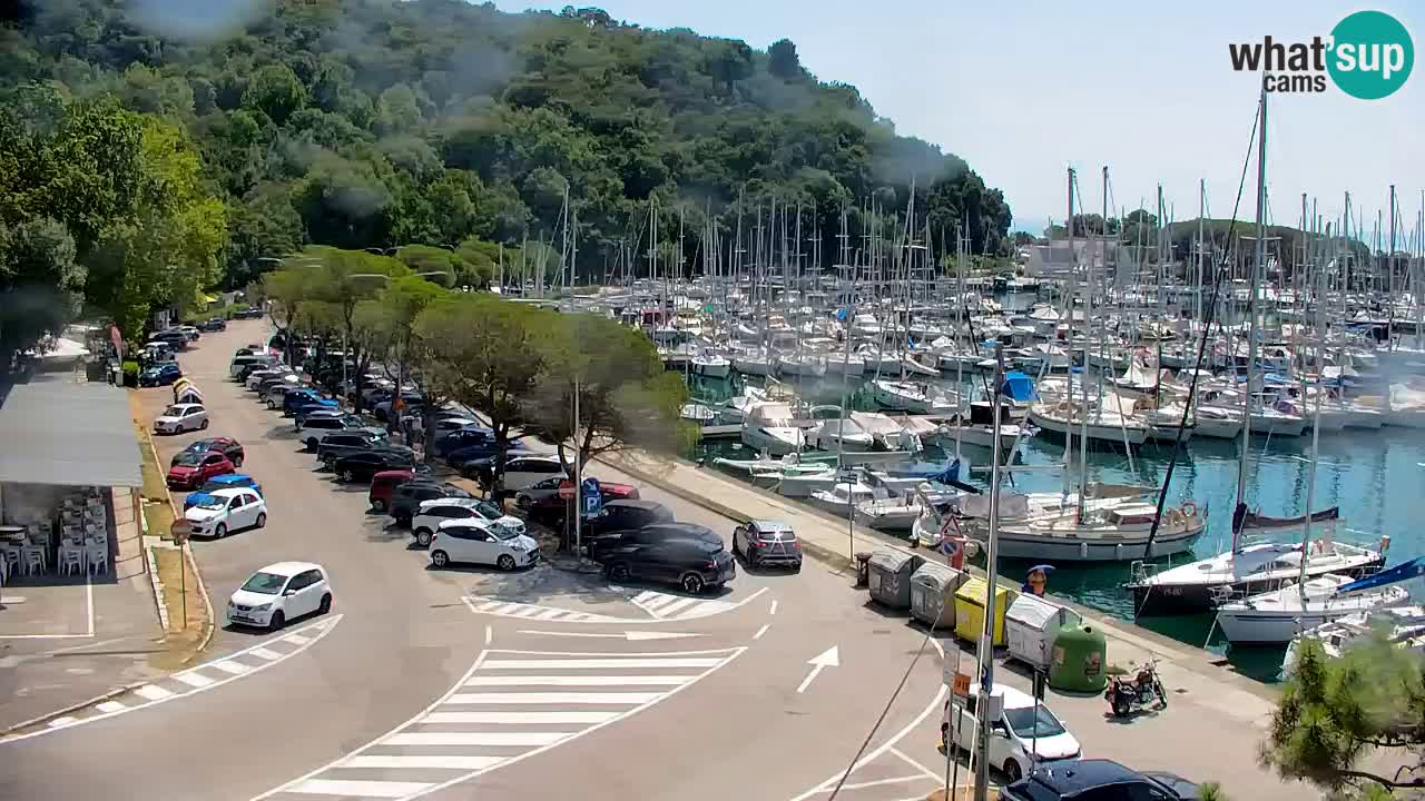 Webcam Baie de Sistiana – Vue en direct de la marina et de la baie