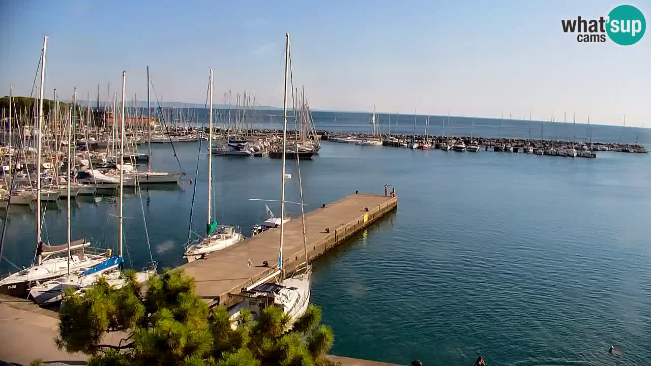 Webcam Sistiana Baia – Live View of the Marina and Gulf