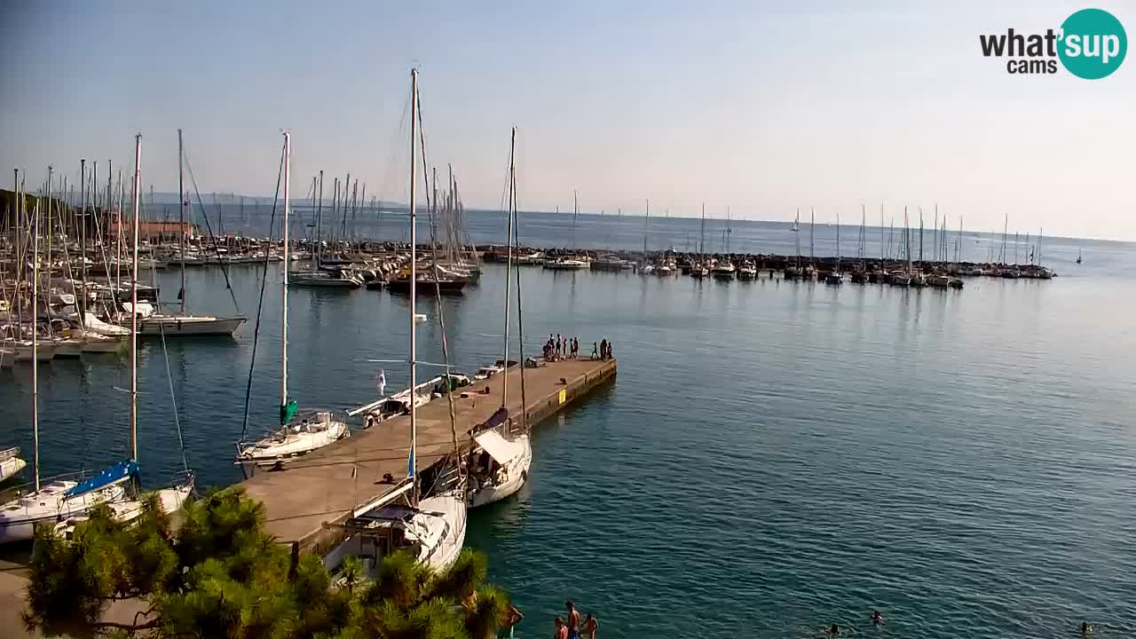 Webcam Bahía de Sistiana – Vista en directo del puerto deportivo y la costa