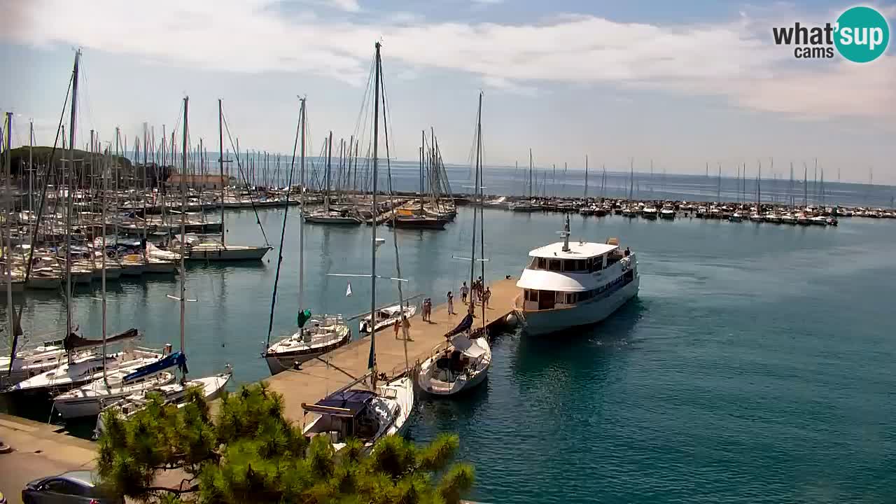 Webcam Bahía de Sistiana – Vista en directo del puerto deportivo y la costa
