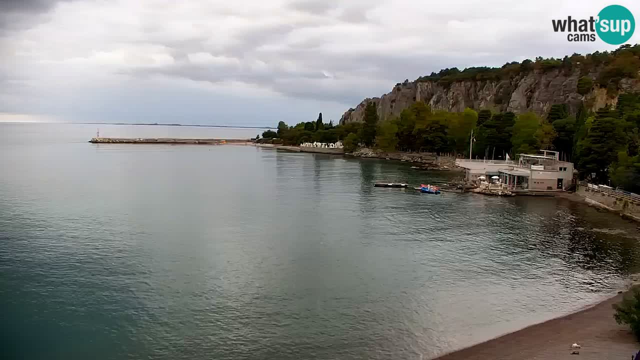 Webcam Sistiana Baia – Live View of the Marina and Gulf