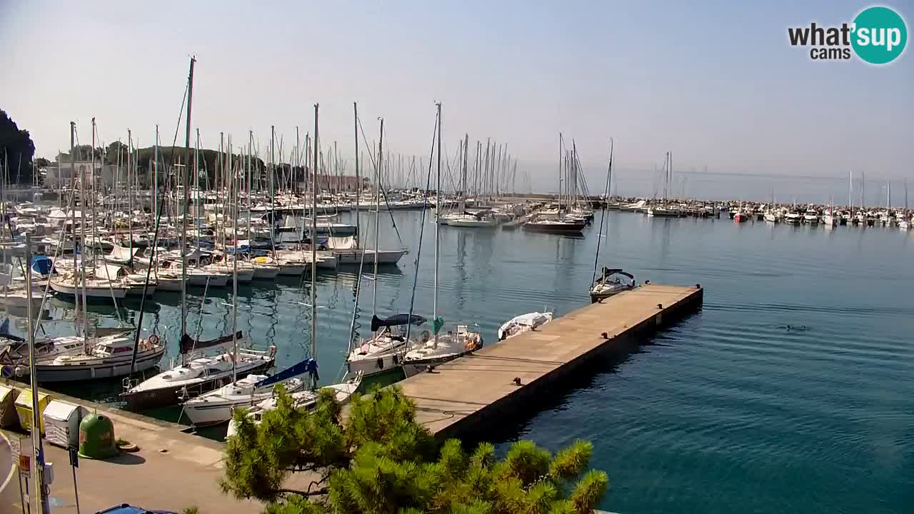 Webcam Sistiana Baia – Live View of the Marina and Gulf