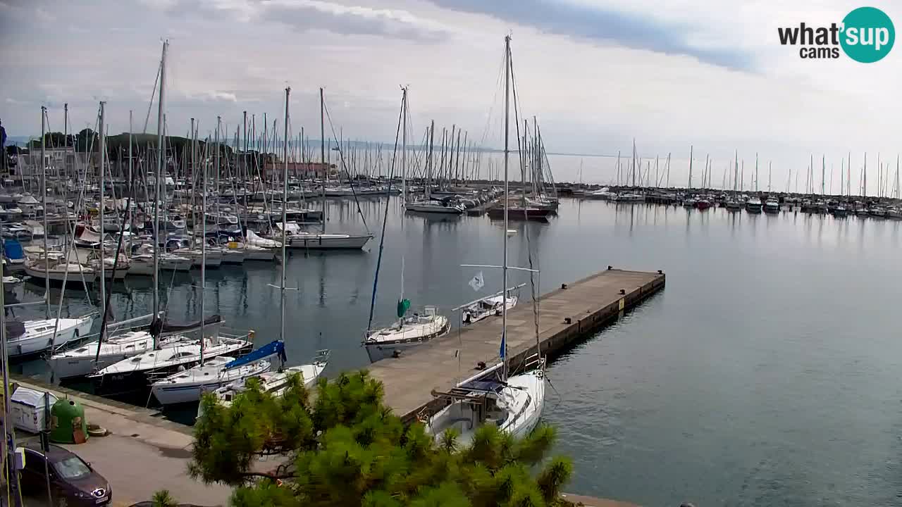 Webcam Baie de Sistiana – Vue en direct de la marina et de la baie