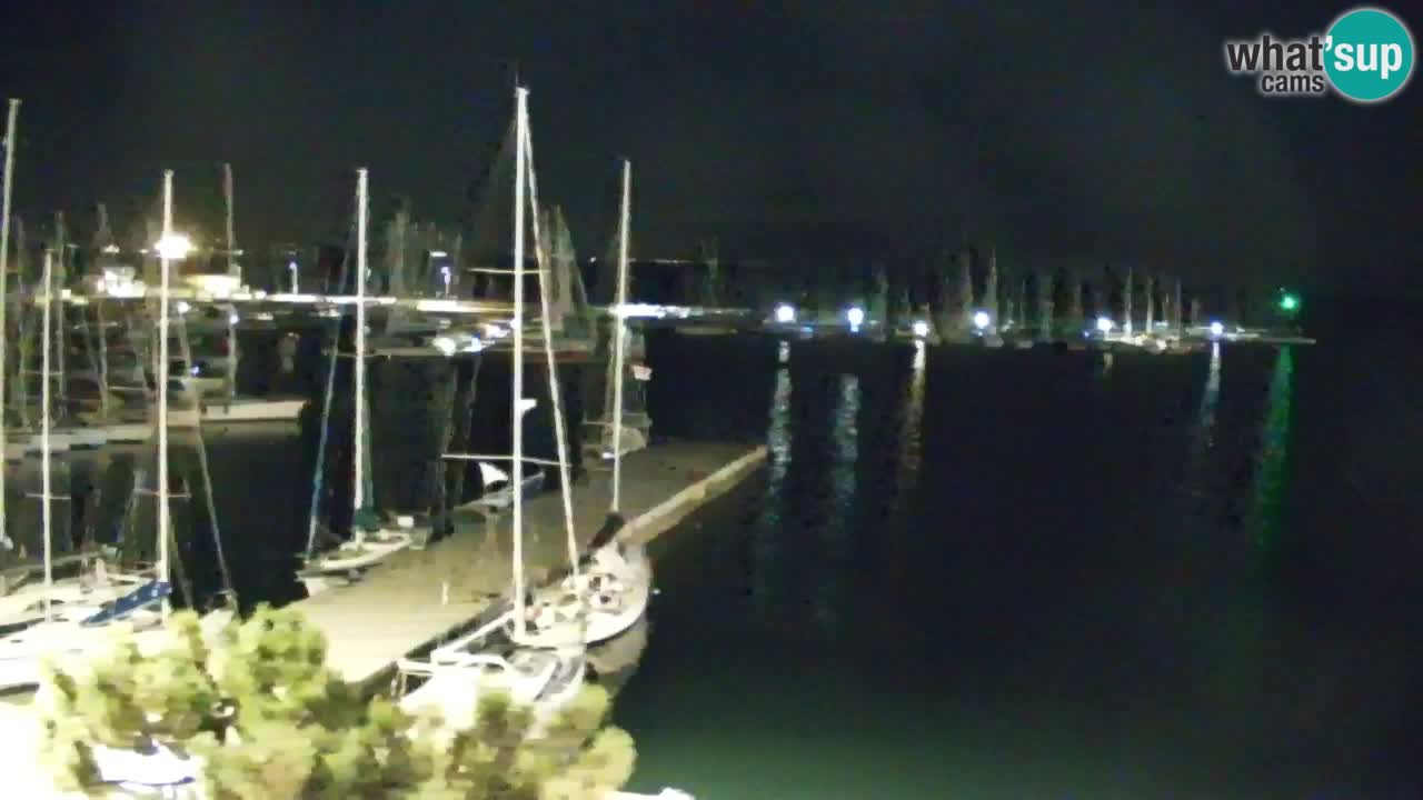 Webcam Bahía de Sistiana – Vista en directo del puerto deportivo y la costa