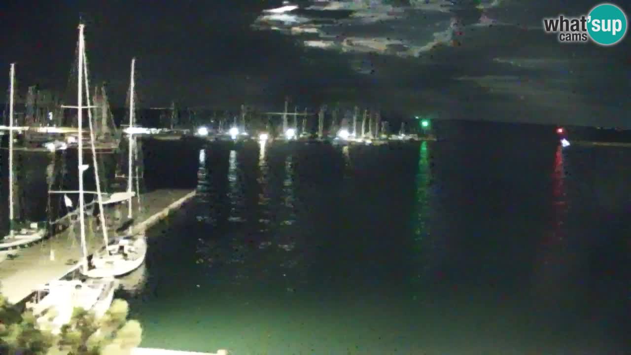 Webcam Sistiana Baia – Live View of the Marina and Gulf