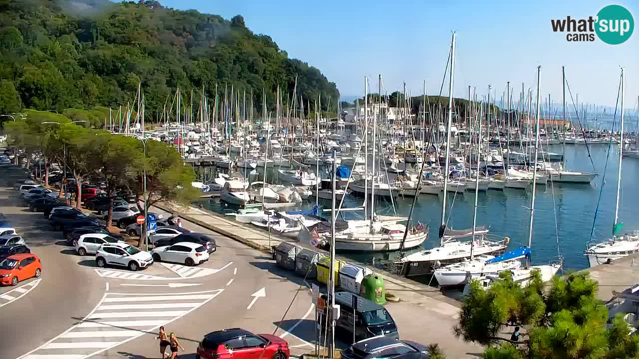 Webcam Sistiana Baia – Live View of the Marina and Gulf