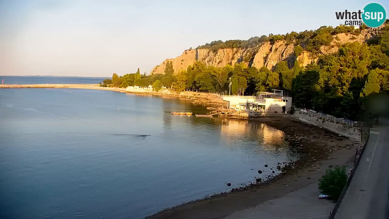Webcam Bahía de Sistiana – Vista en directo del puerto deportivo y la costa