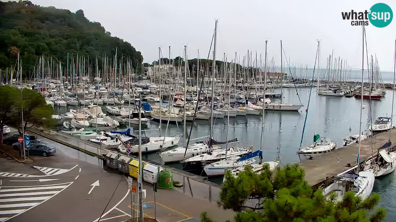 Webcam Bahía de Sistiana – Vista en directo del puerto deportivo y la costa