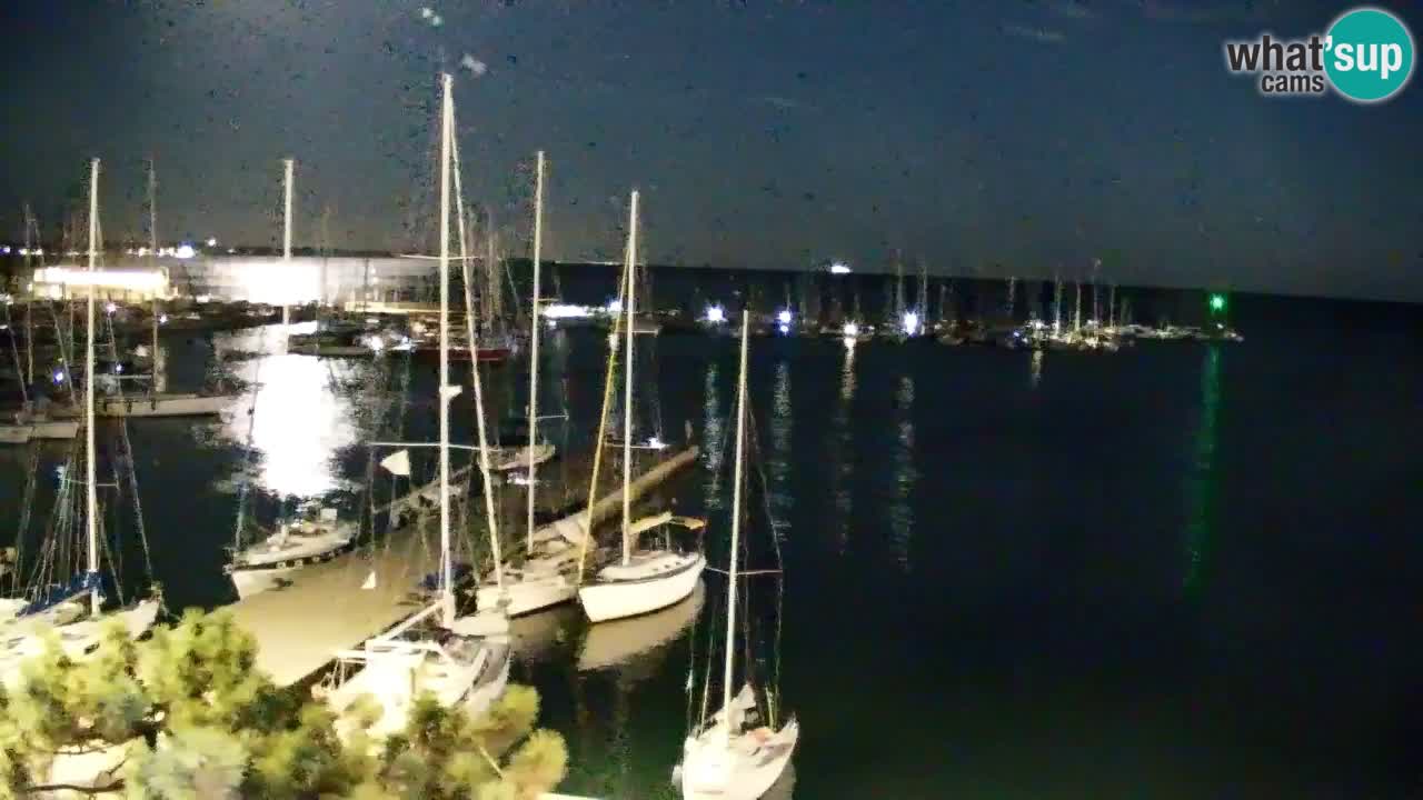 Webcam Sistiana Baia – Live View of the Marina and Gulf