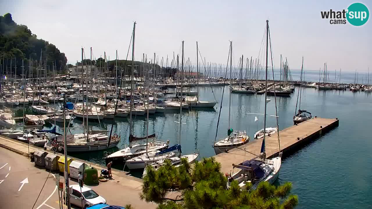 Webcam Sistiana Baia – Live View of the Marina and Gulf