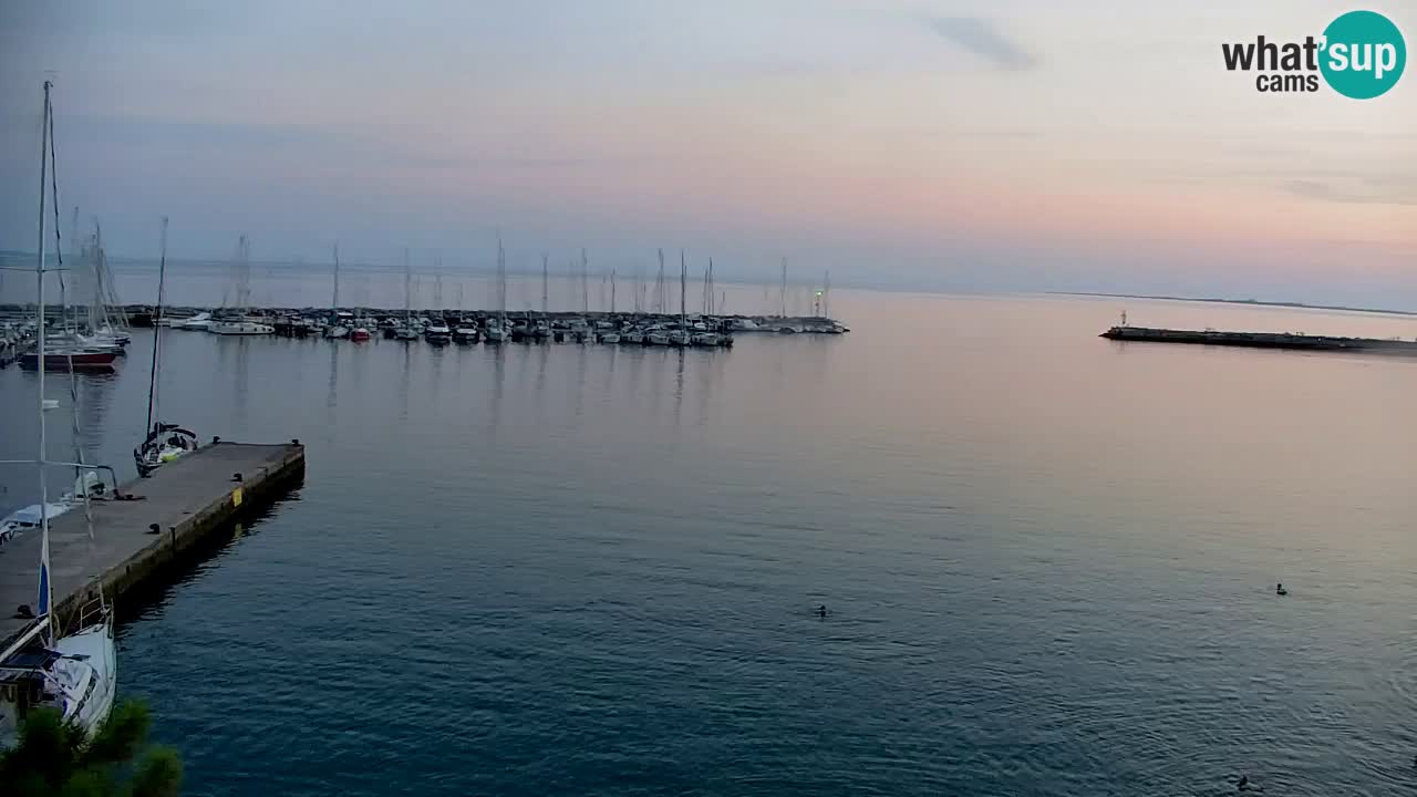 Webcam Baie de Sistiana – Vue en direct de la marina et de la baie