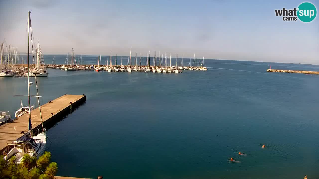 Webcam Bahía de Sistiana – Vista en directo del puerto deportivo y la costa