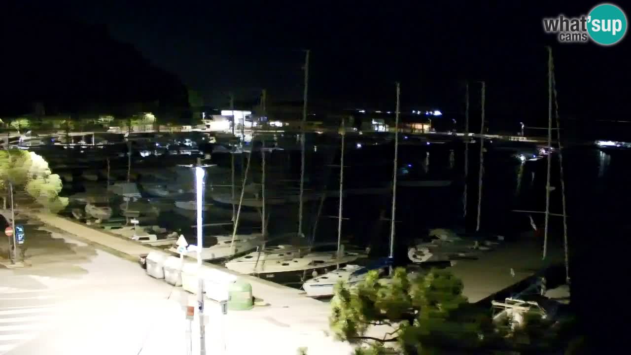 Spletna kamera Sesljanski zaliv – Pogled v živo na marino in zaliv