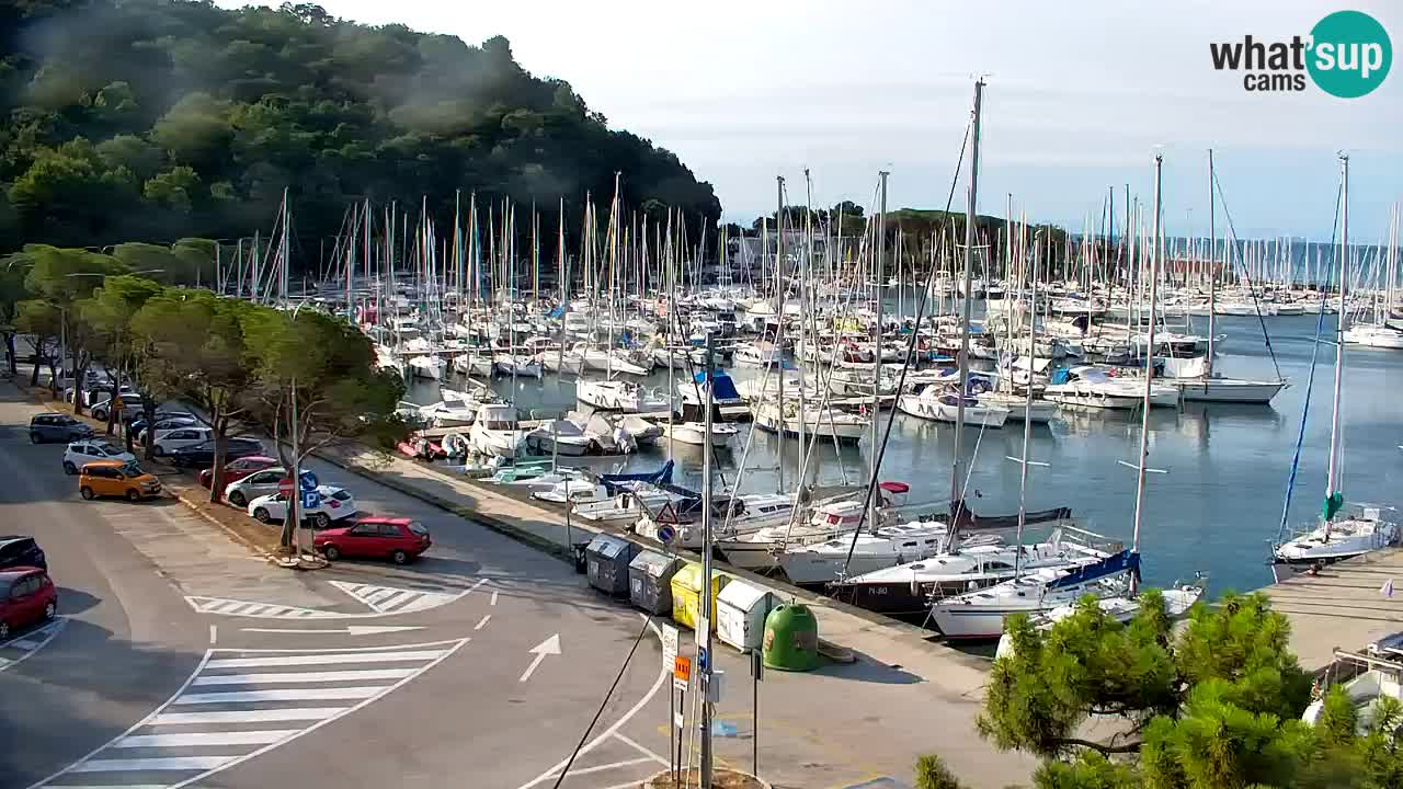 Webcam Sistiana Baia – Live View of the Marina and Gulf