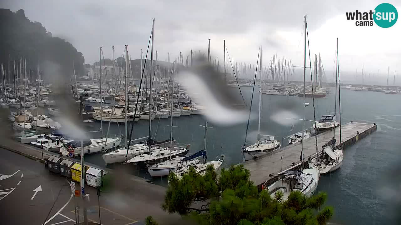 Webcam Bahía de Sistiana – Vista en directo del puerto deportivo y la costa