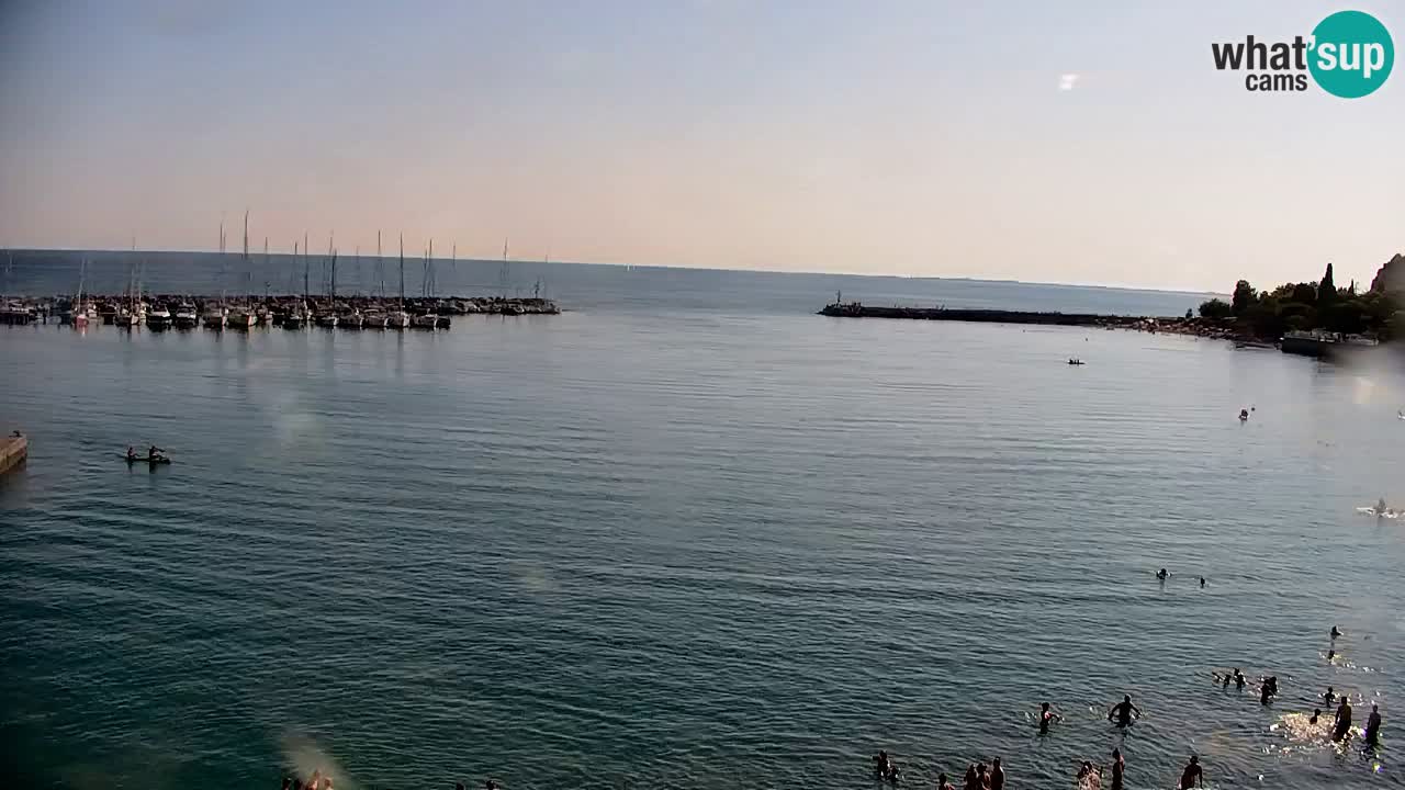 Webcam Bahía de Sistiana – Vista en directo del puerto deportivo y la costa