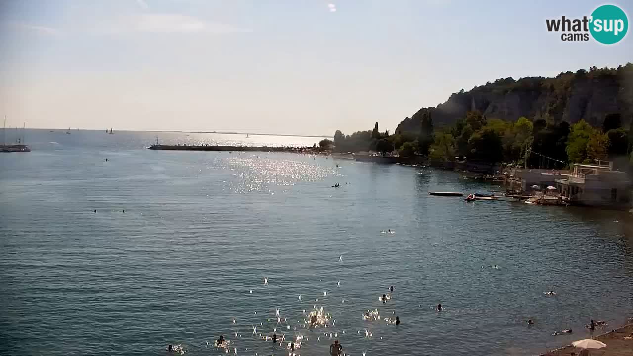 Webcam Baie de Sistiana – Vue en direct de la marina et de la baie