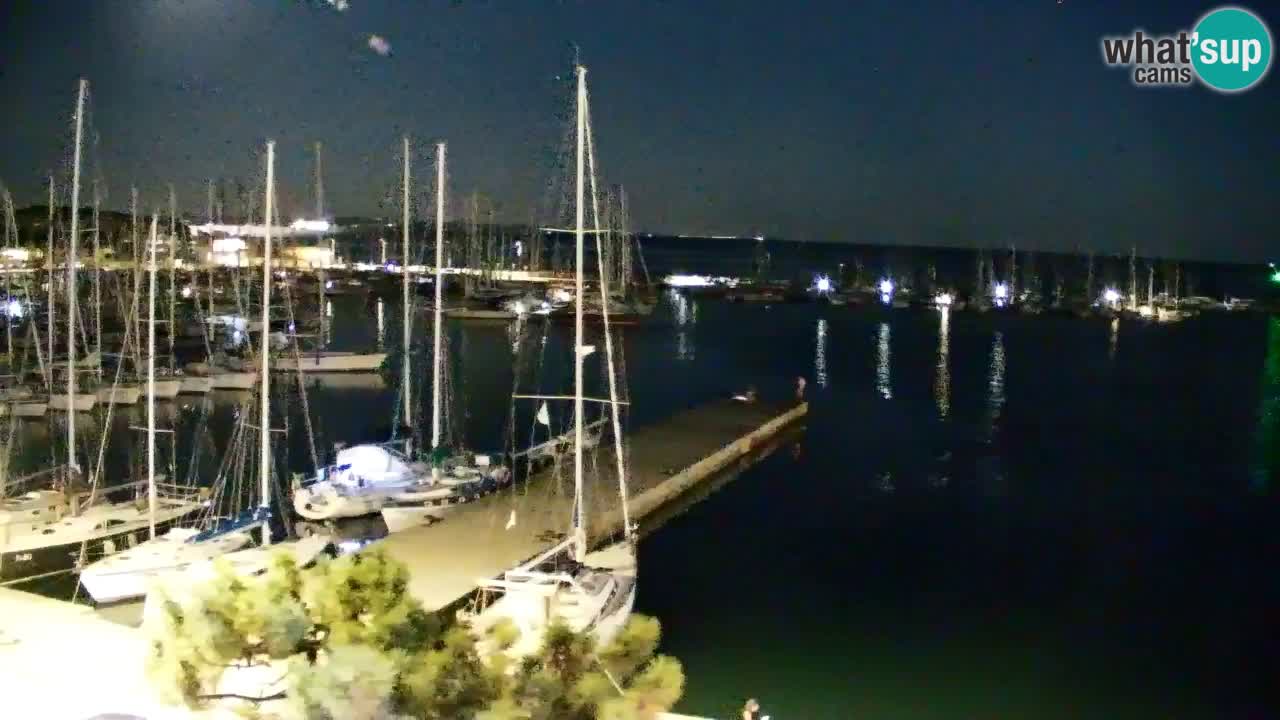 Web kamera Sistiana Uvala – Pogled uživo na marinu i zaljev