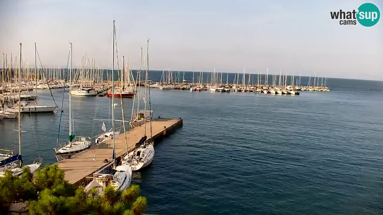 Web kamera Sistiana Uvala – Pogled uživo na marinu i zaljev